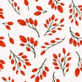 Vector seamless pattern with barberries.